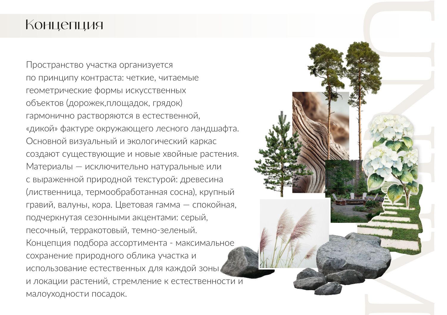 Скандинавский минимализм на лесном участке — материал 2